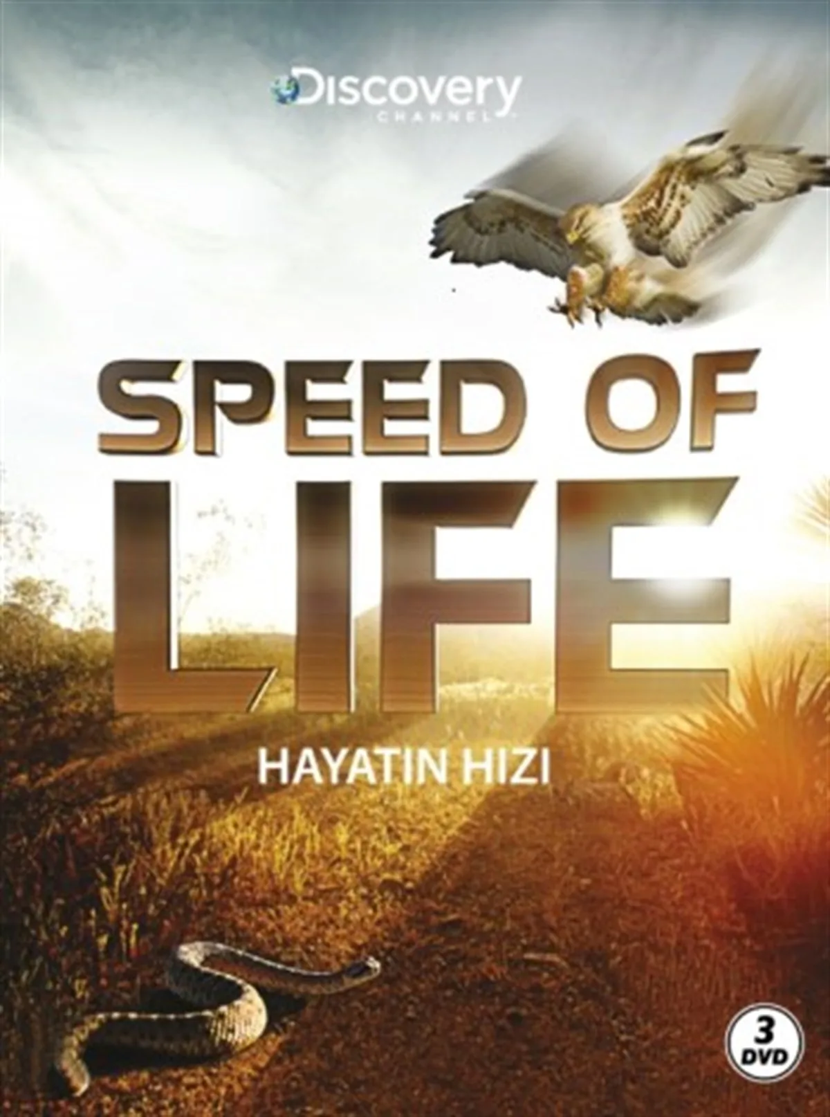 HAYATIN HIZI
