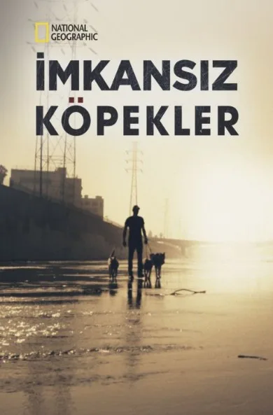 İMKANSIZ KÖPEKLER