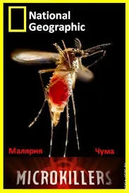 MİKRO KATİLLER