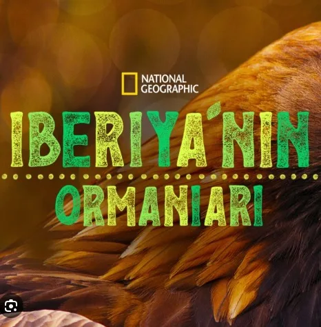 İBERYANIN ORMANLARI
