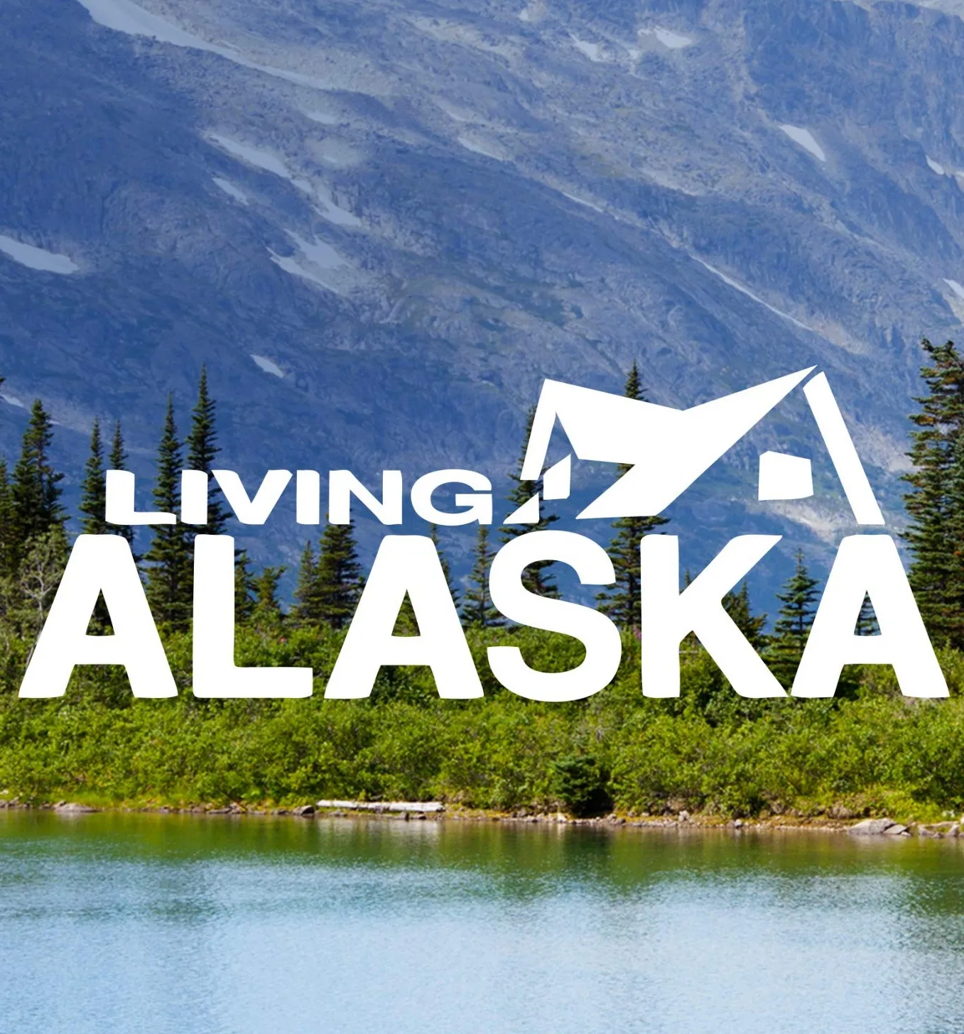 ALASKA EVLERİ