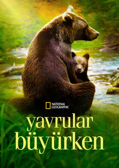 YAVRULAR BÜYÜRKEN belgesel izle türkçe dublaj